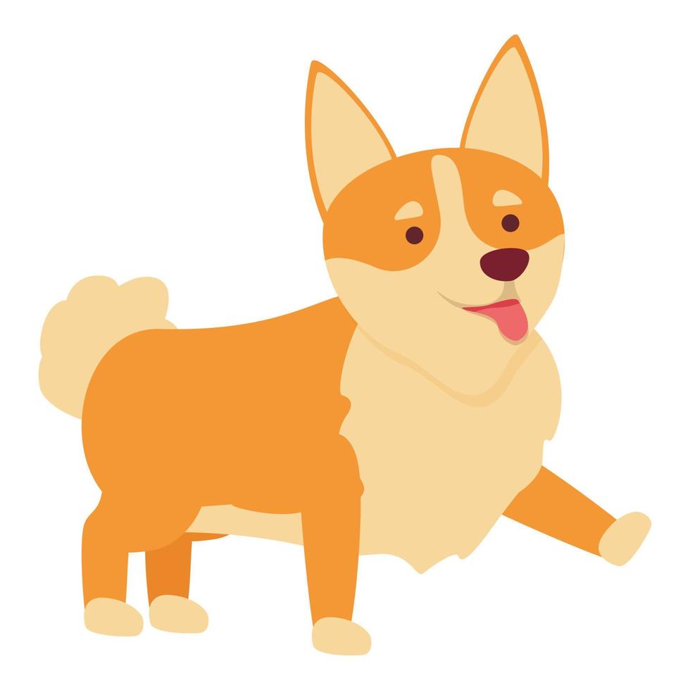 encantador vector de dibujos animados de icono de corgi. canino real