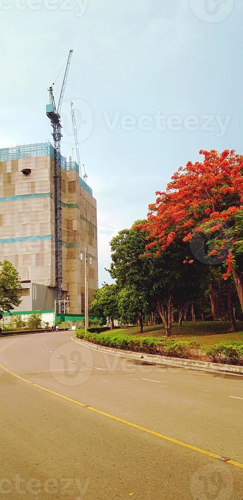 Beautiful curve rood to construction building with crane and big red or orange flower tree with sky background in park in vintage color style. Beauty of Nature, Different thing and Environment photo