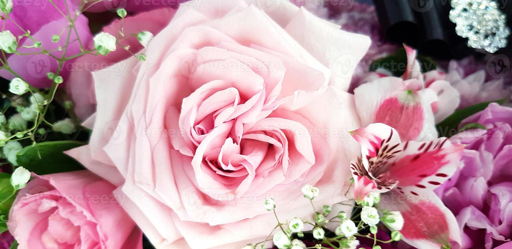 Beautiful pink rose with another flower for background. Beauty of Nature, Natural wallpaper, Celebration, Gift and Valentine day concept photo
