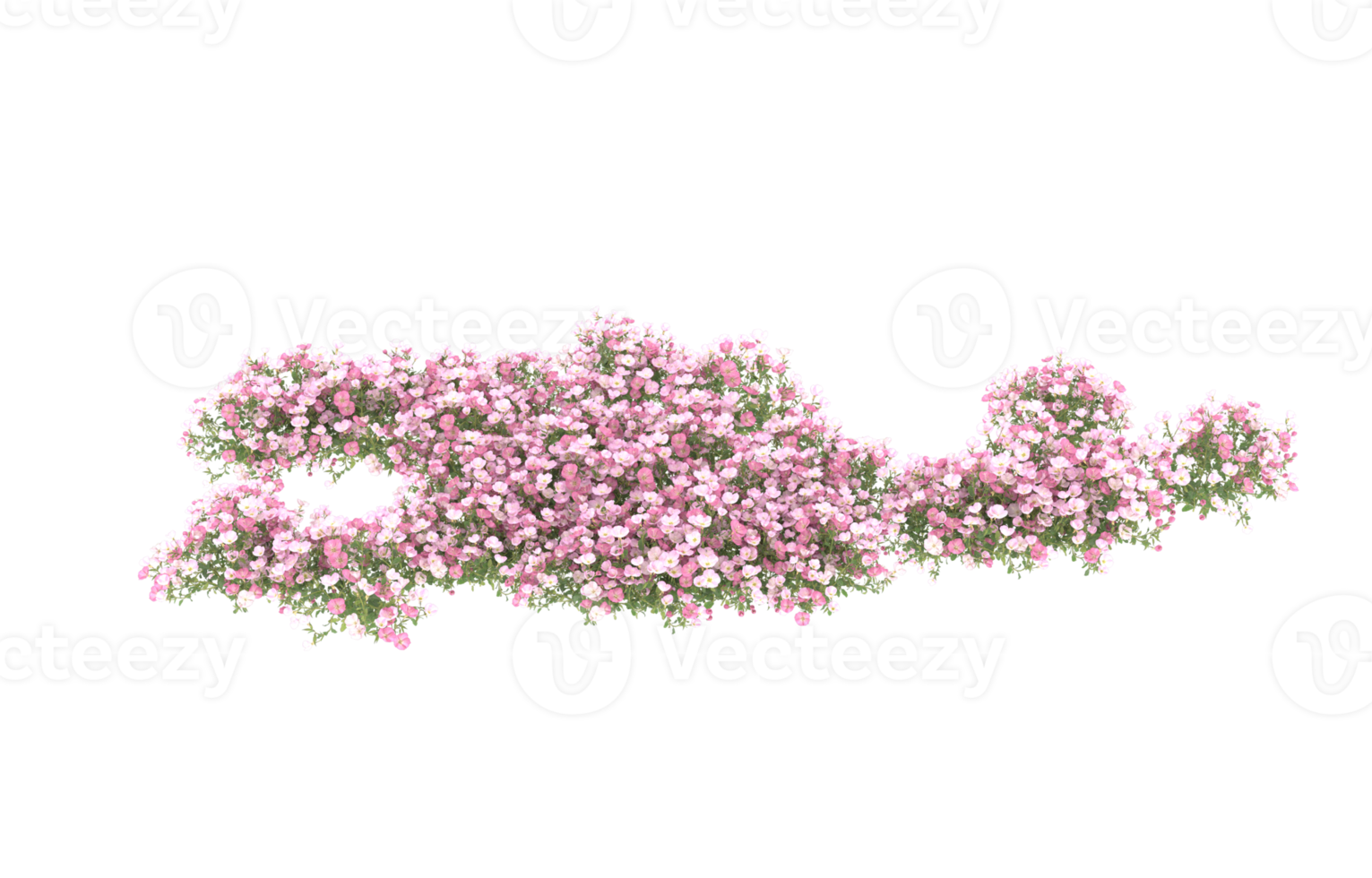 Realistic foliage isolated on transparent background. 3d rendering - illustration png