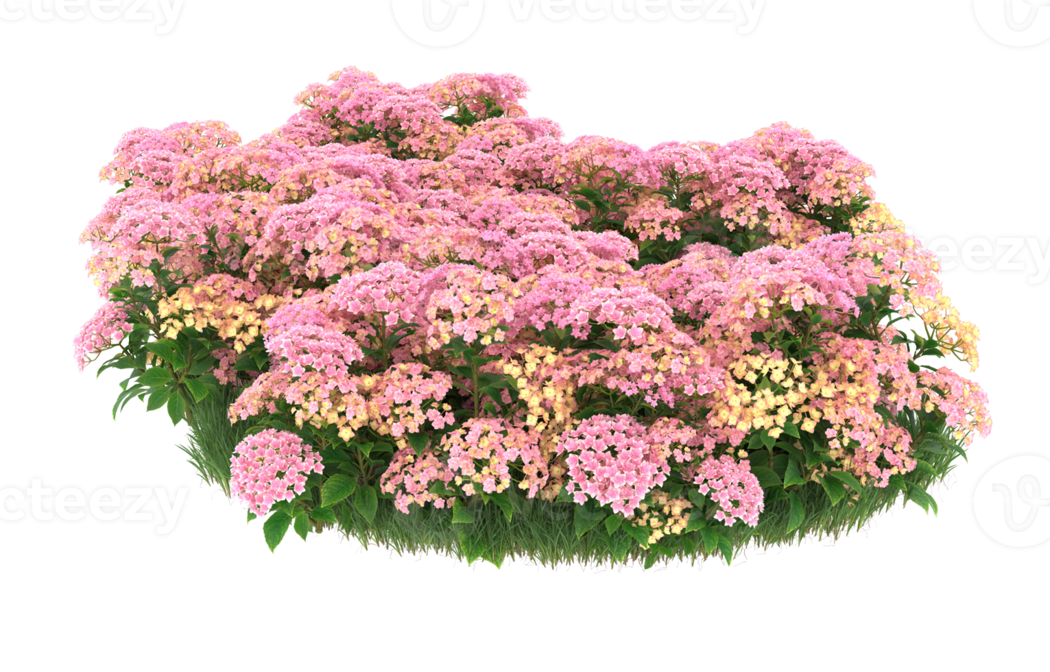 Realistic foliage isolated on transparent background. 3d rendering - illustration png