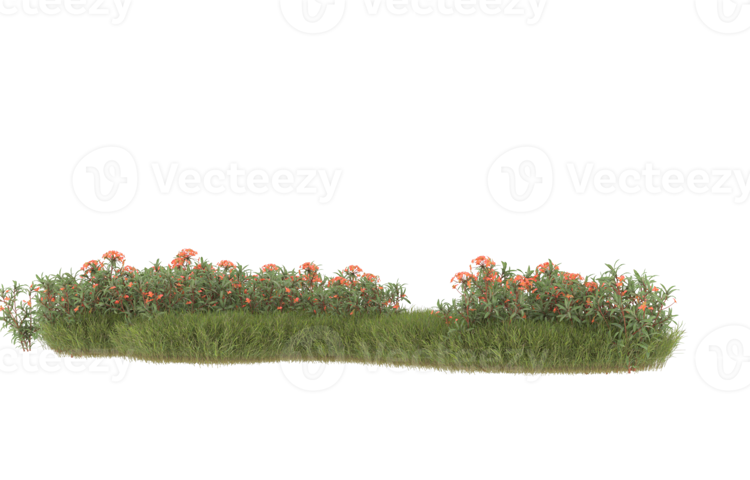 Realistic foliage isolated on transparent background. 3d rendering - illustration png