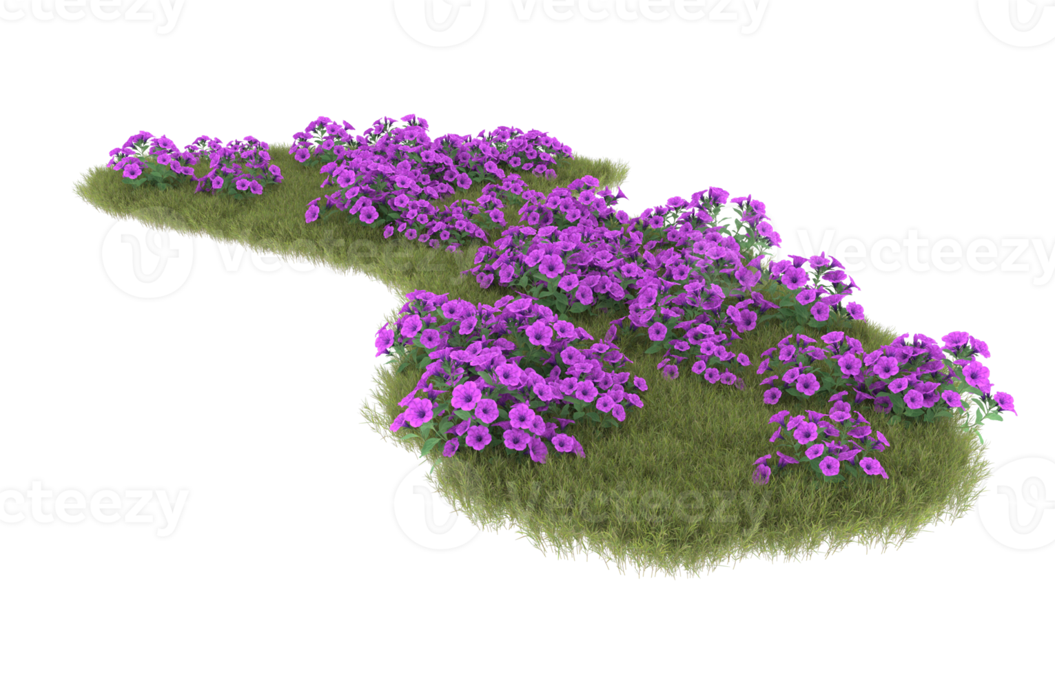 Realistic foliage isolated on transparent background. 3d rendering - illustration png