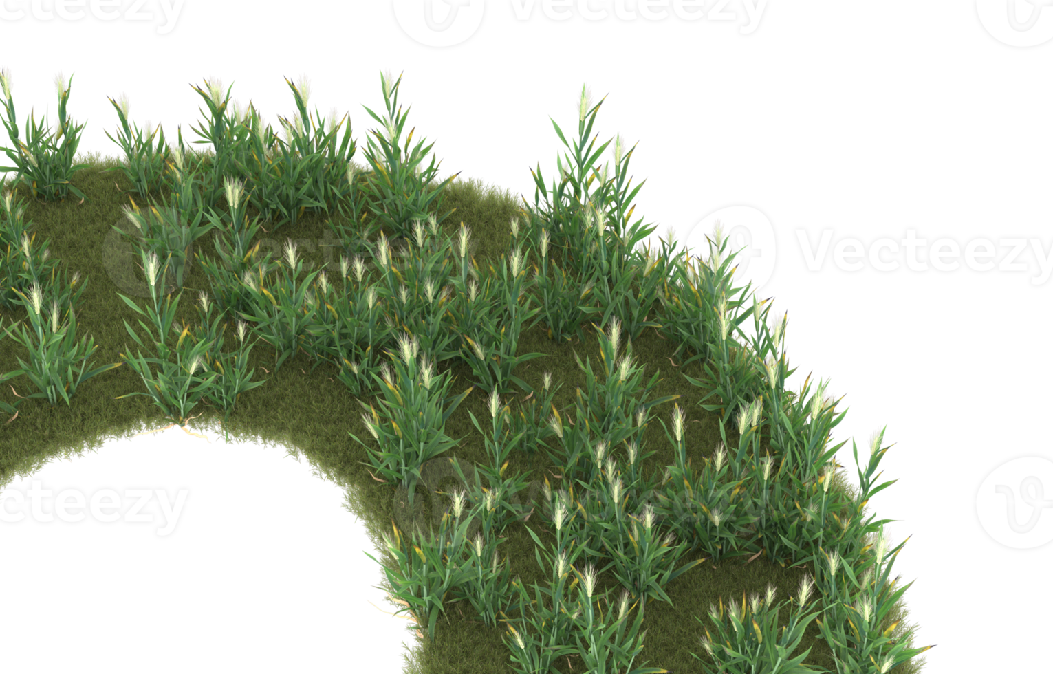 Realistic foliage isolated on transparent background. 3d rendering - illustration png