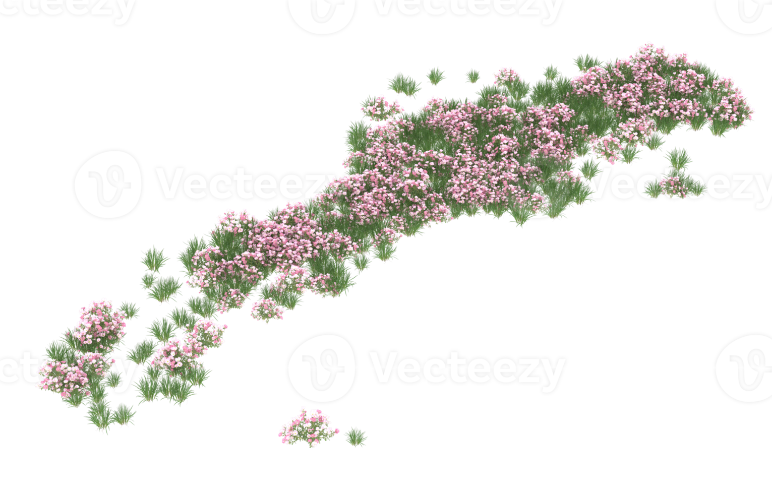 Realistic foliage isolated on transparent background. 3d rendering - illustration png