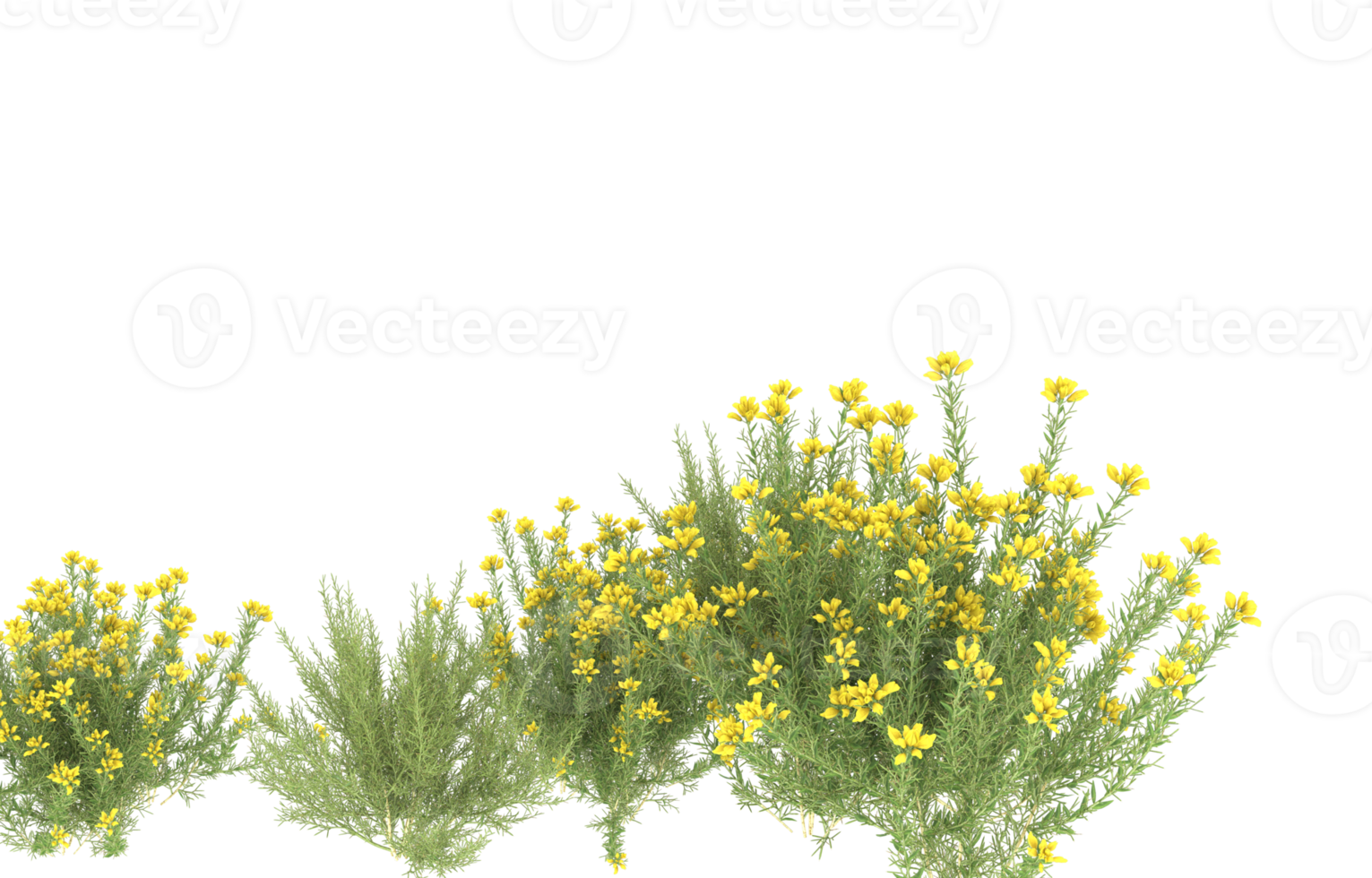 Realistic foliage isolated on transparent background. 3d rendering - illustration png