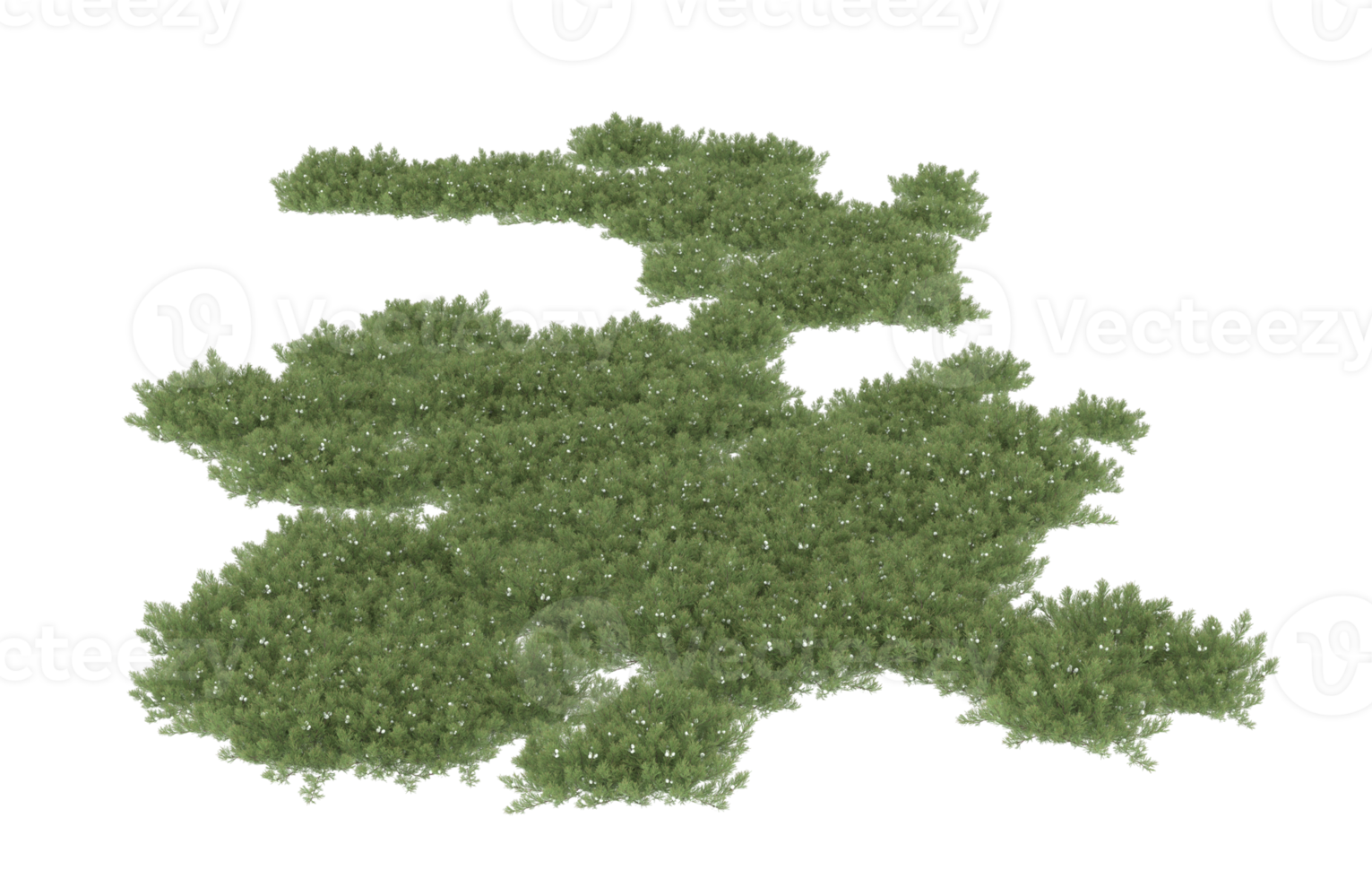 Realistic foliage isolated on transparent background. 3d rendering - illustration png