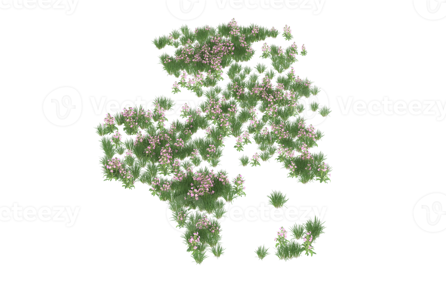 Realistic foliage isolated on transparent background. 3d rendering - illustration png