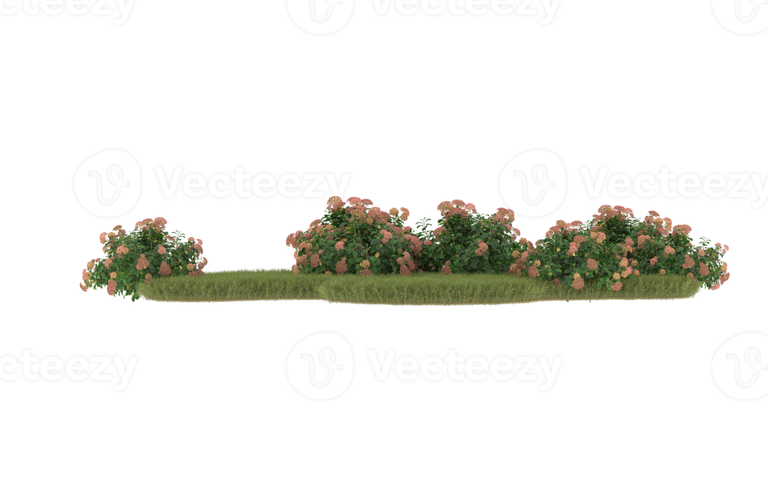 realistisk lövverk isolerat på transparent bakgrund. 3d tolkning - illustration png