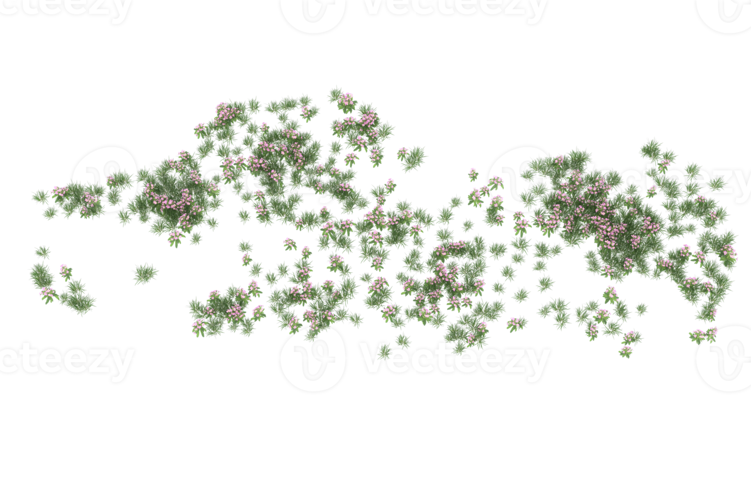 realistisk lövverk isolerat på transparent bakgrund. 3d tolkning - illustration png