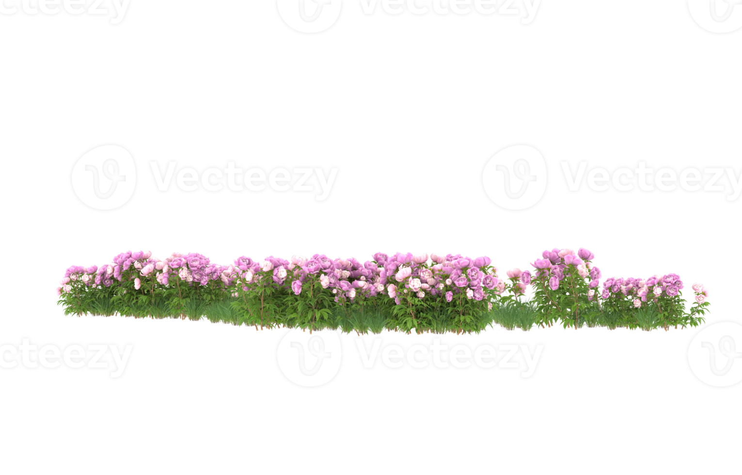 Realistic foliage isolated on transparent background. 3d rendering - illustration png