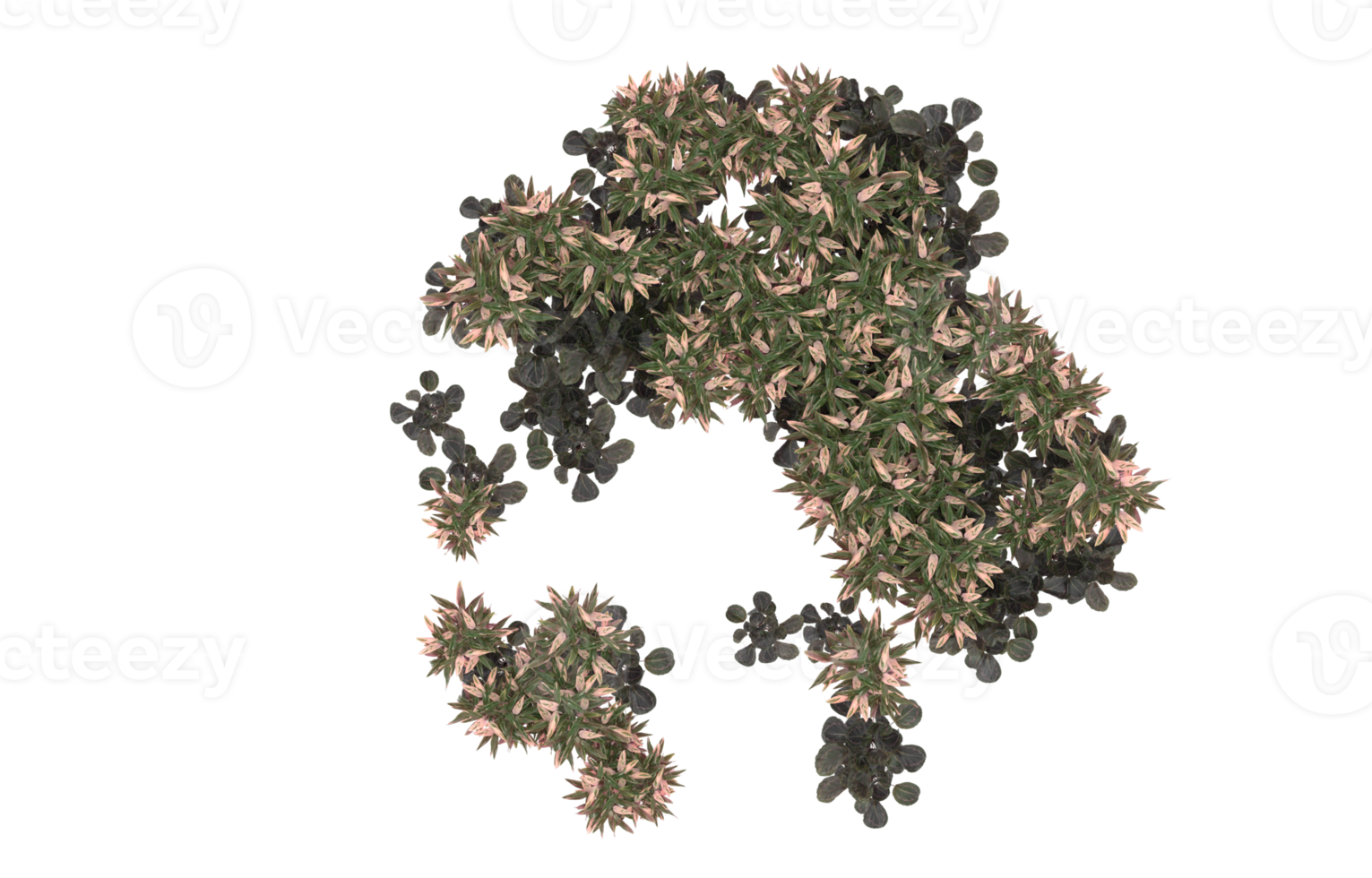Realistic foliage isolated on transparent background. 3d rendering - illustration png