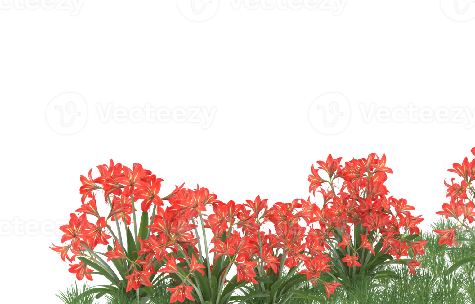 Realistic foliage isolated on transparent background. 3d rendering - illustration png