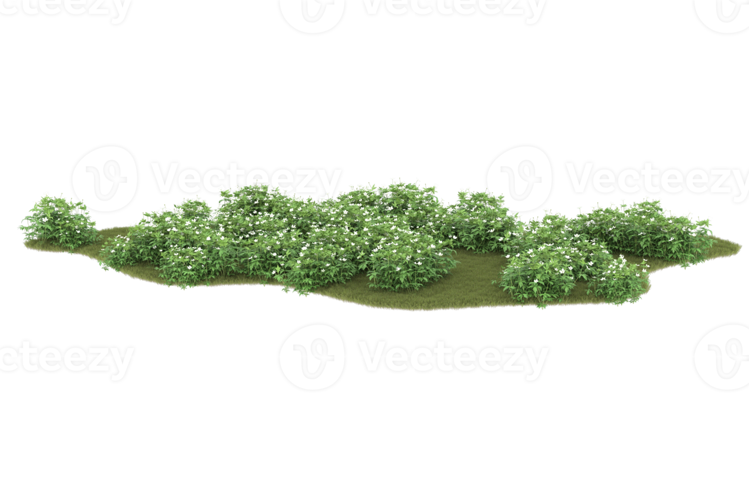 realistisk lövverk isolerat på transparent bakgrund. 3d tolkning - illustration png