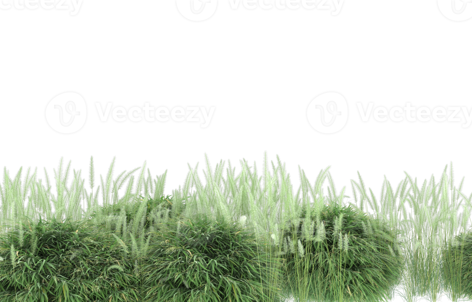 Realistic foliage isolated on transparent background. 3d rendering - illustration png
