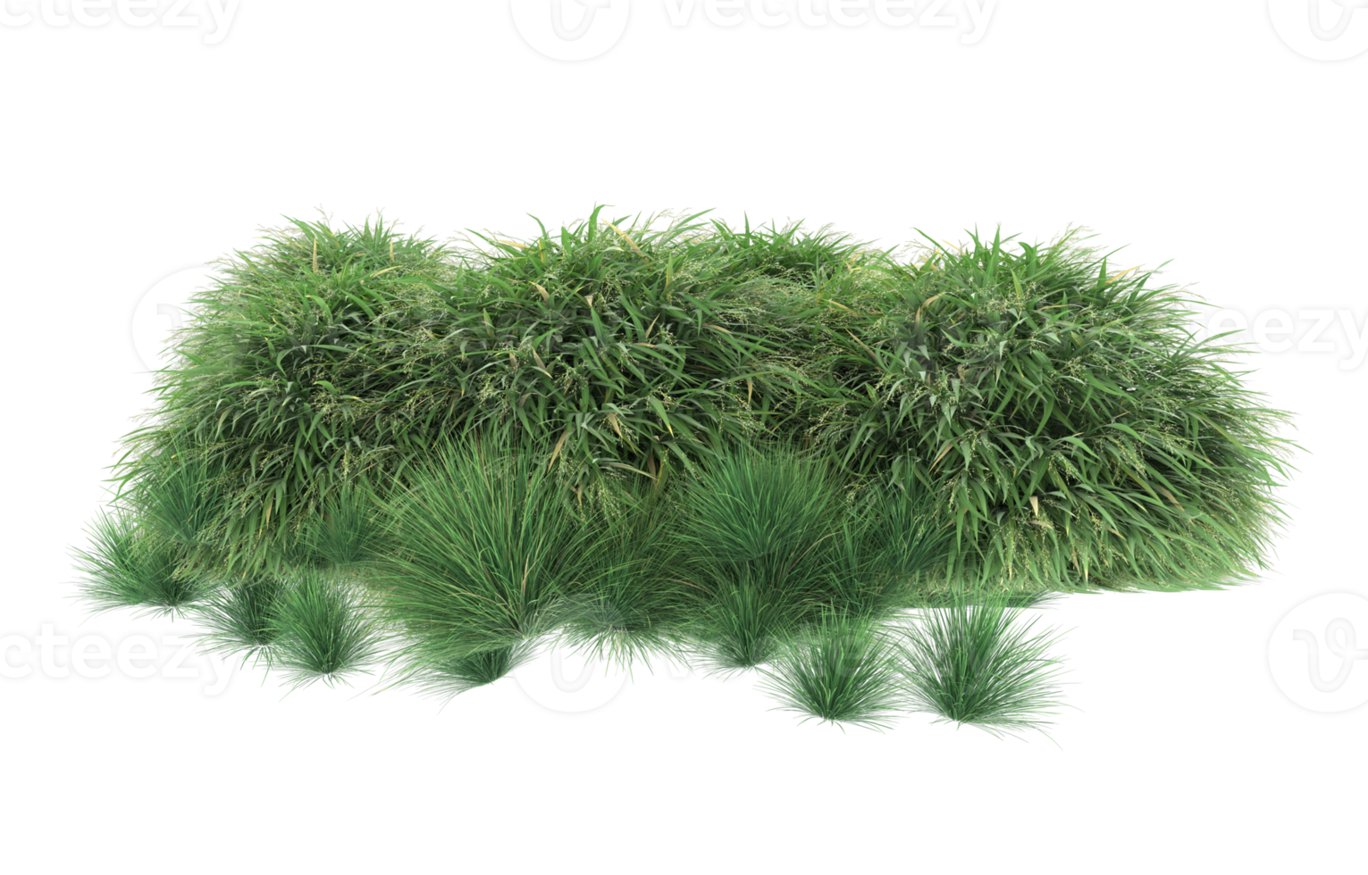 Realistic foliage isolated on transparent background. 3d rendering - illustration png