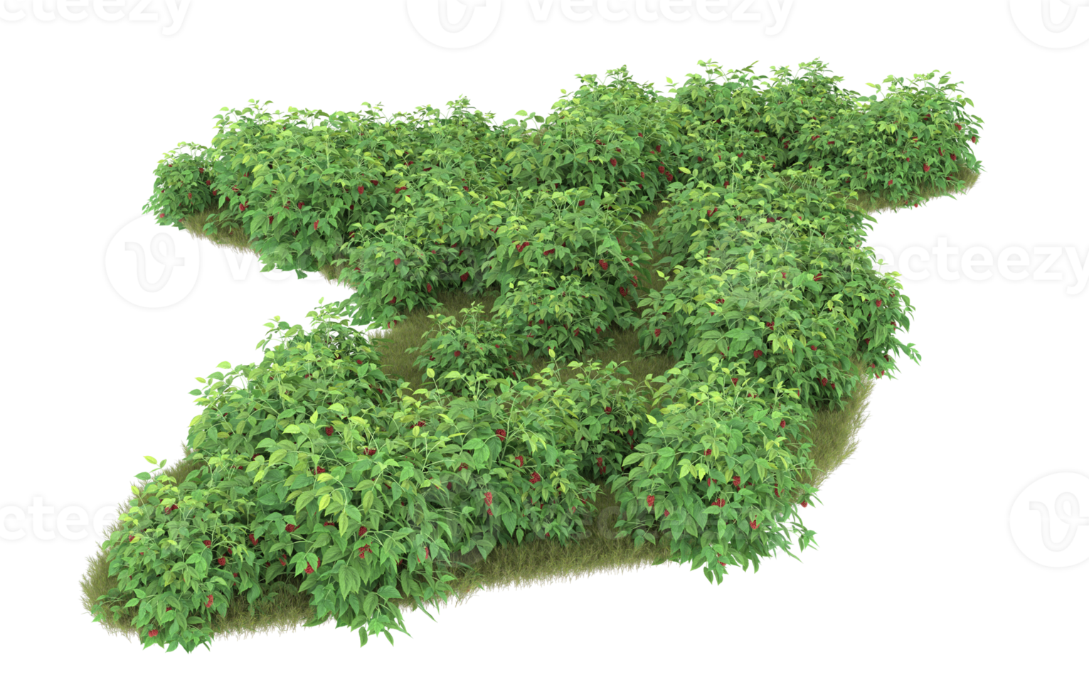 Realistic foliage isolated on transparent background. 3d rendering - illustration png