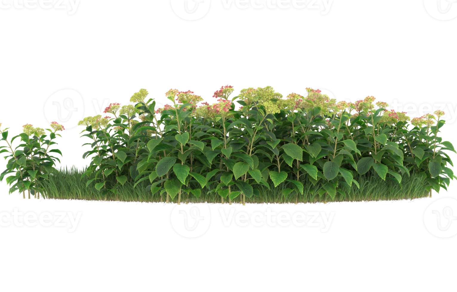 Realistic foliage isolated on transparent background. 3d rendering - illustration png