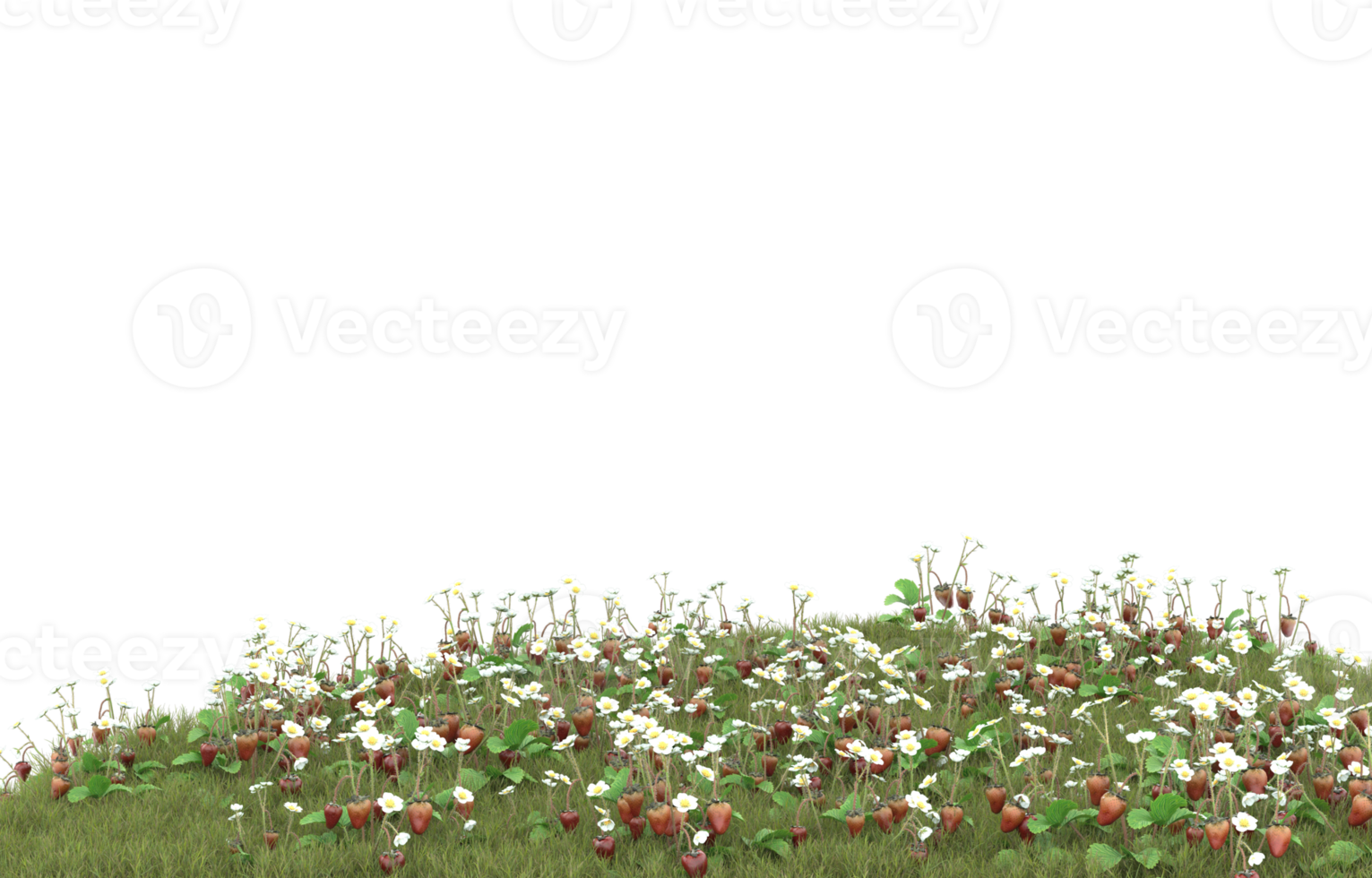 Realistic foliage isolated on transparent background. 3d rendering - illustration png