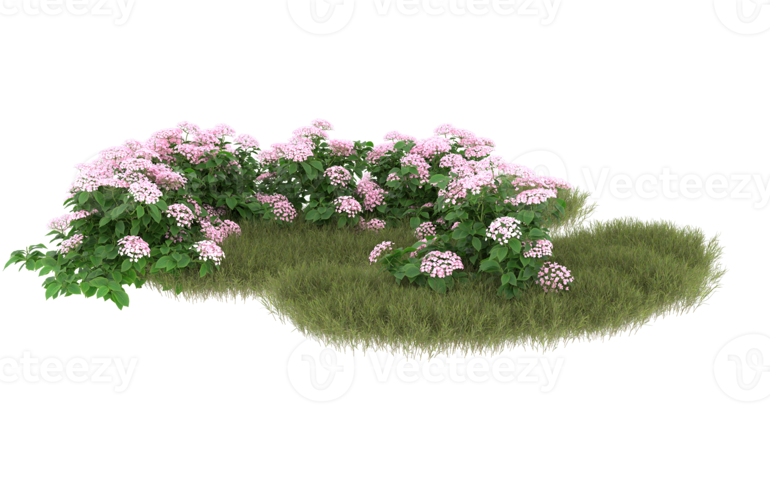 Realistic foliage isolated on transparent background. 3d rendering - illustration png
