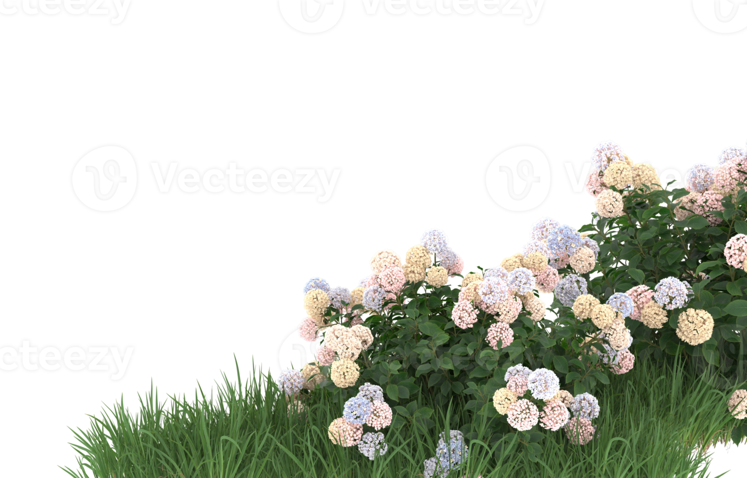Realistic foliage isolated on transparent background. 3d rendering - illustration png