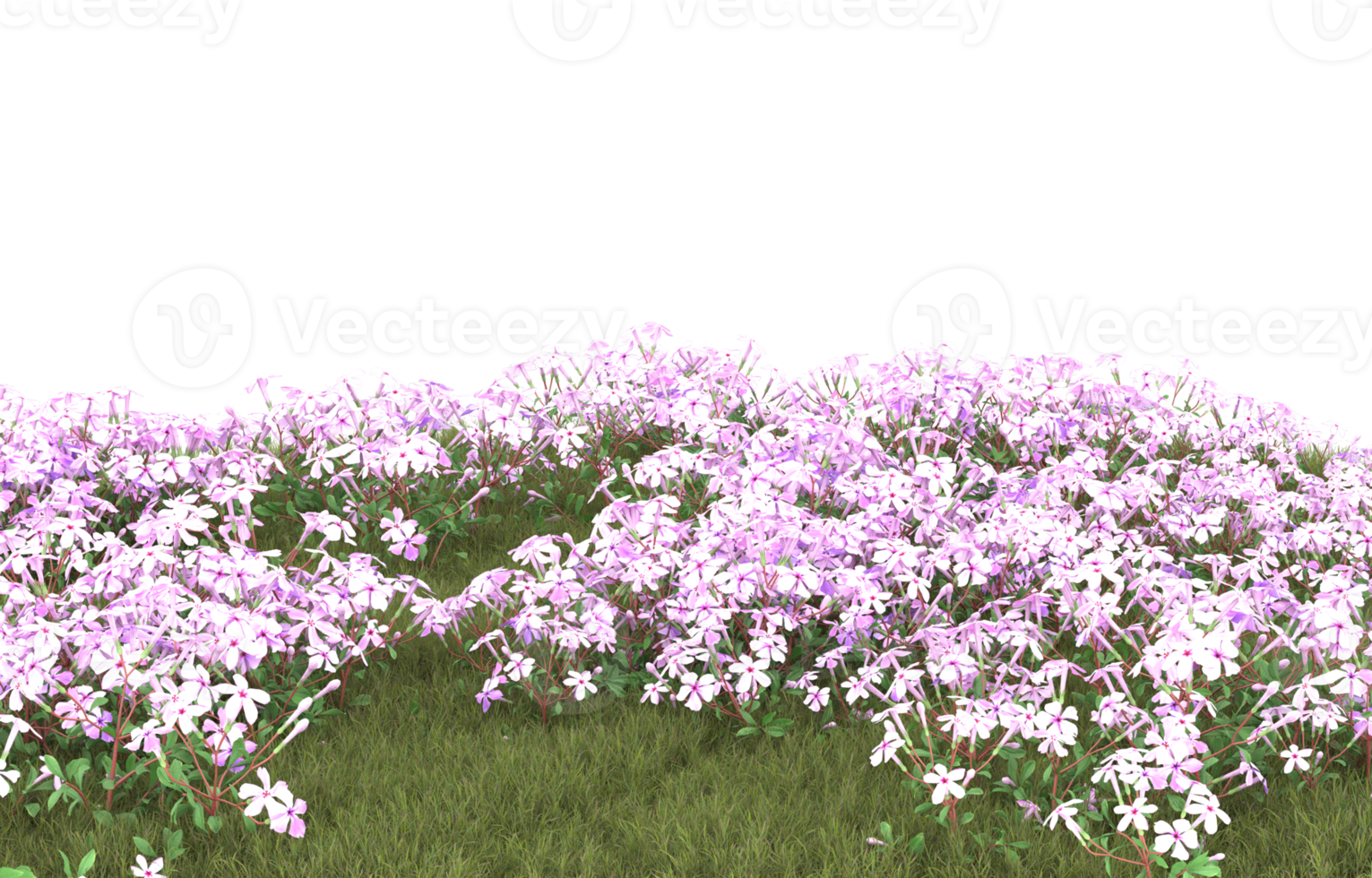 Realistic foliage isolated on transparent background. 3d rendering - illustration png