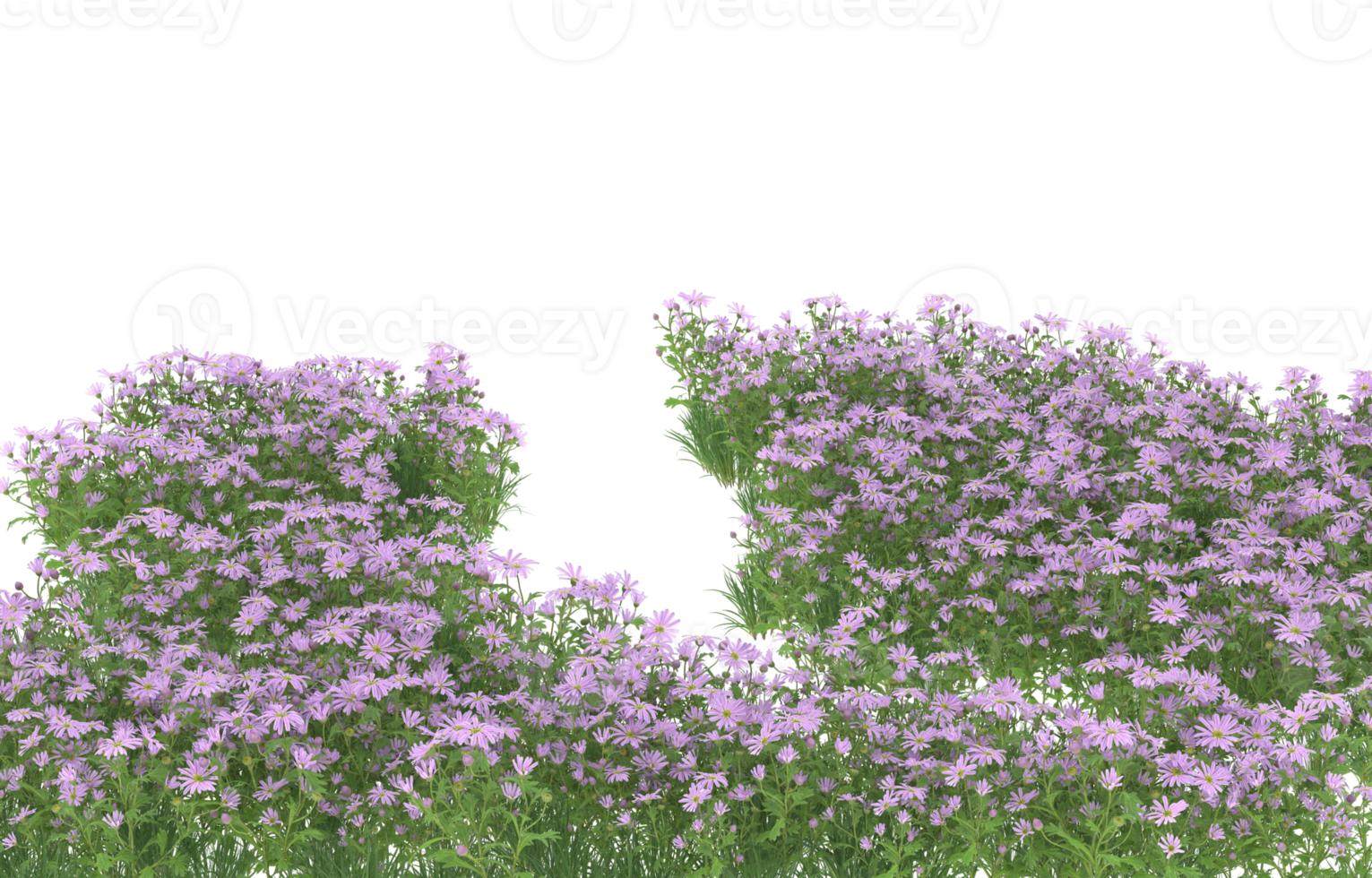 Realistic foliage isolated on transparent background. 3d rendering - illustration png