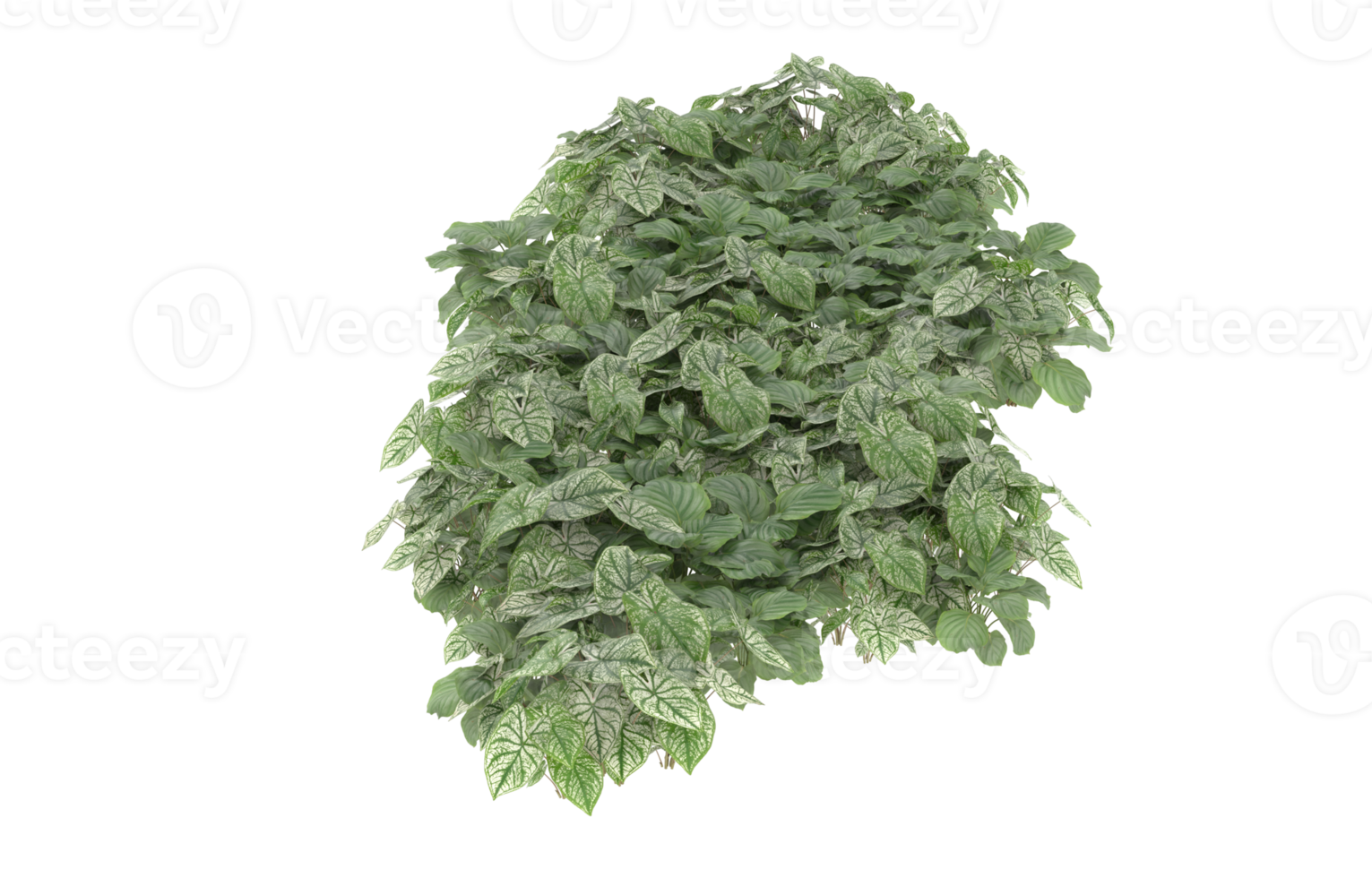Realistic foliage isolated on transparent background. 3d rendering - illustration png