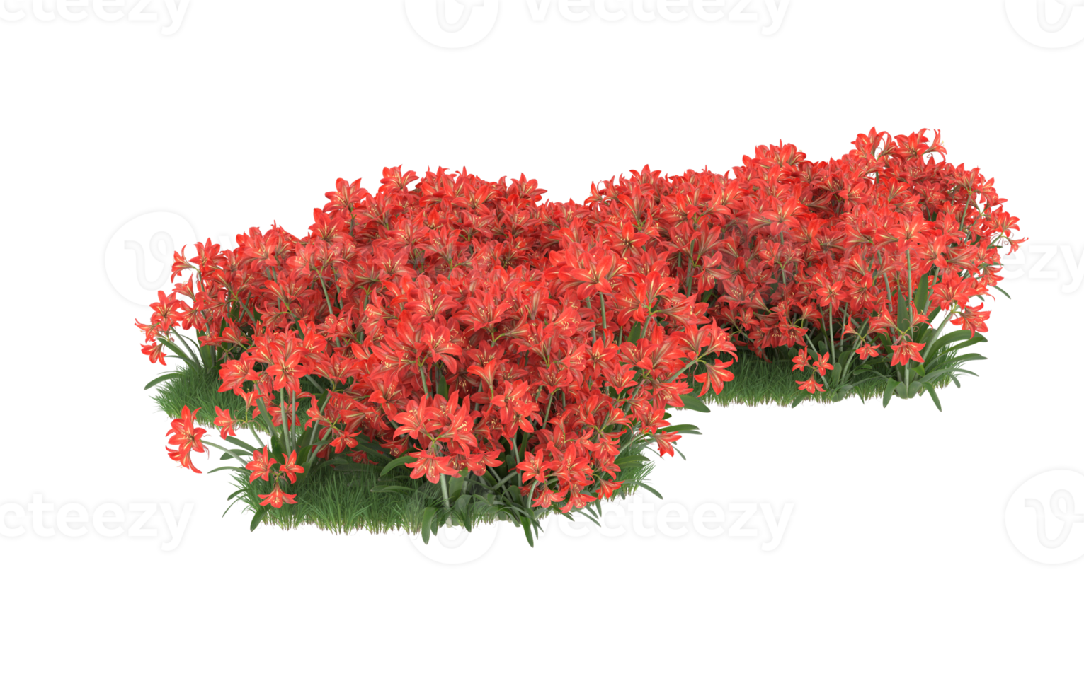 Realistic foliage isolated on transparent background. 3d rendering - illustration png