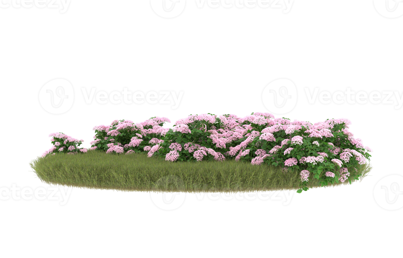 Realistic foliage isolated on transparent background. 3d rendering - illustration png