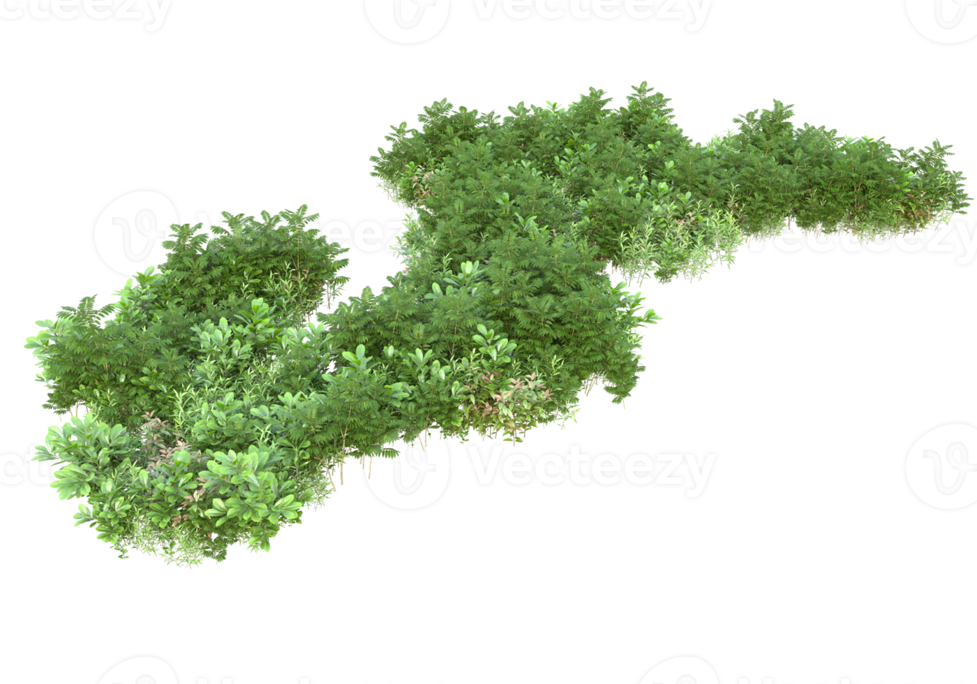 Realistic foliage isolated on transparent background. 3d rendering - illustration png