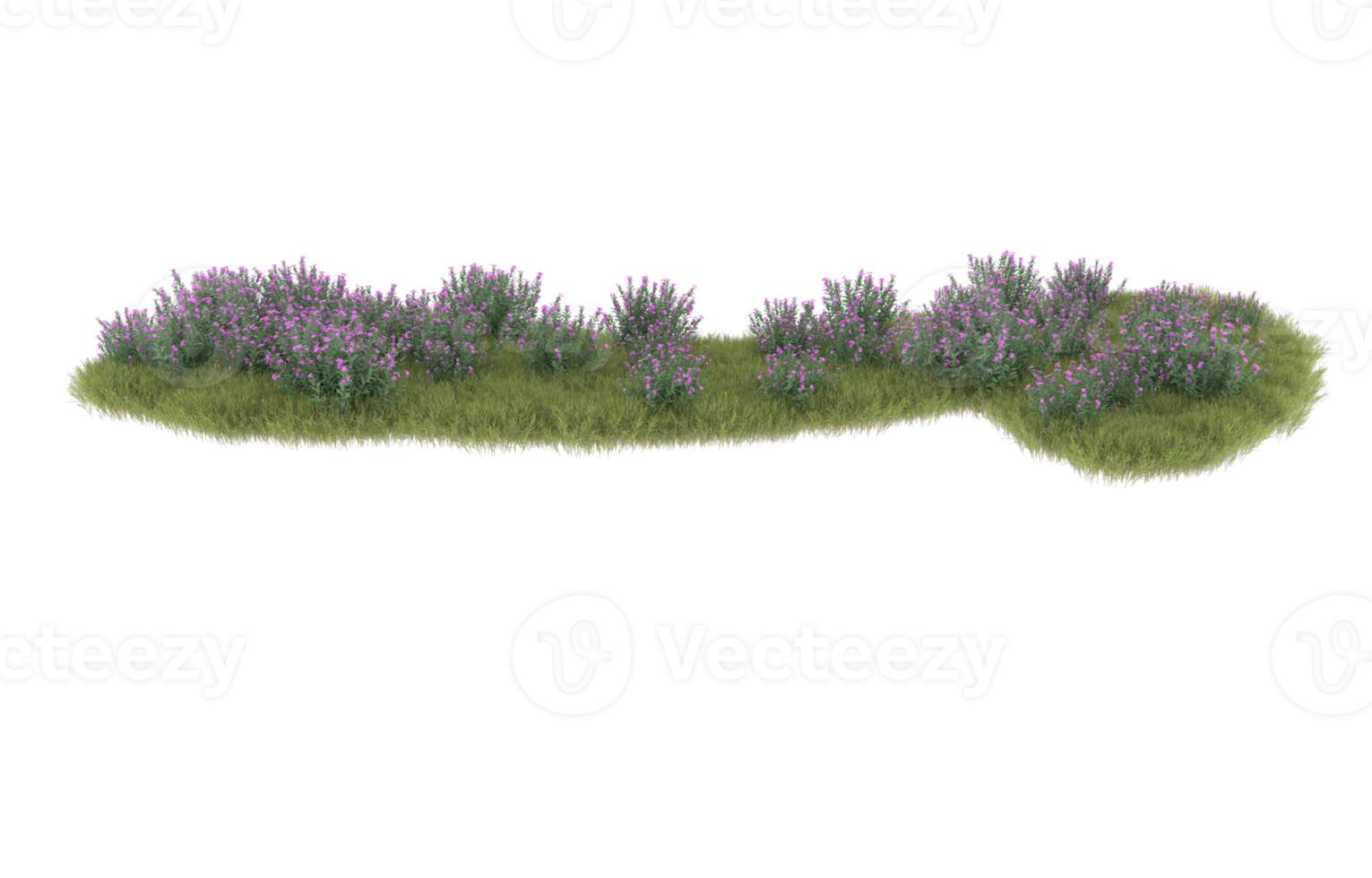 Realistic foliage isolated on transparent background. 3d rendering - illustration png