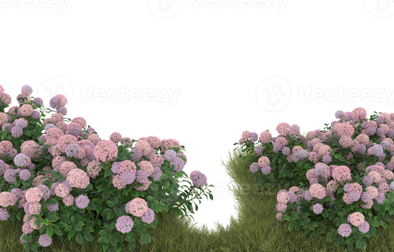 Realistic foliage isolated on transparent background. 3d rendering - illustration png