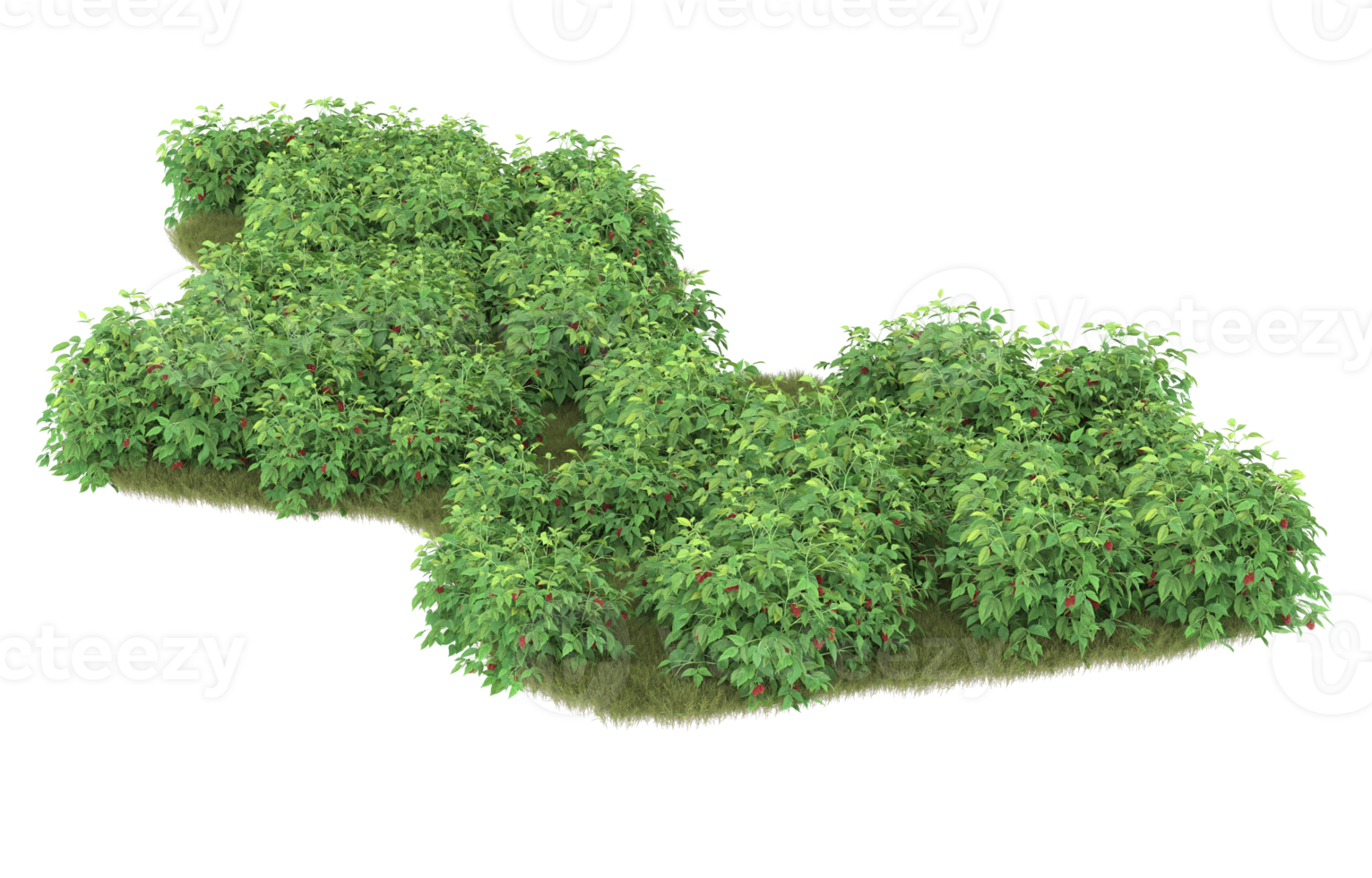 Realistic foliage isolated on transparent background. 3d rendering - illustration png
