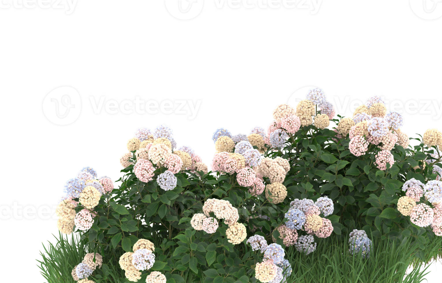 Realistic foliage isolated on transparent background. 3d rendering - illustration png