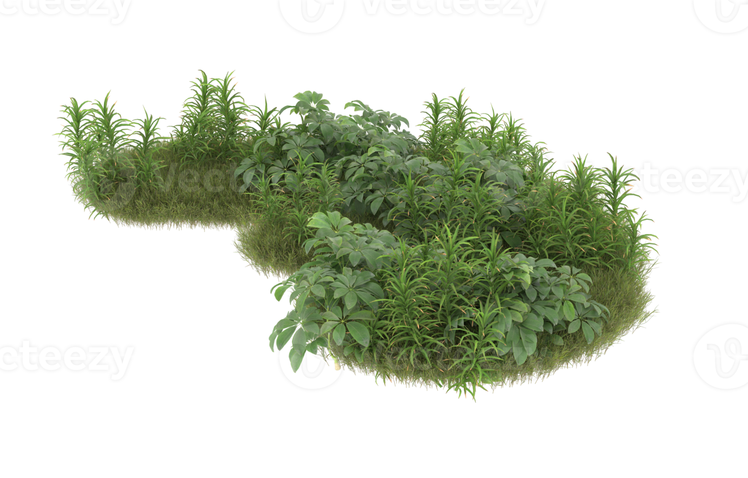 Realistic foliage isolated on transparent background. 3d rendering - illustration png