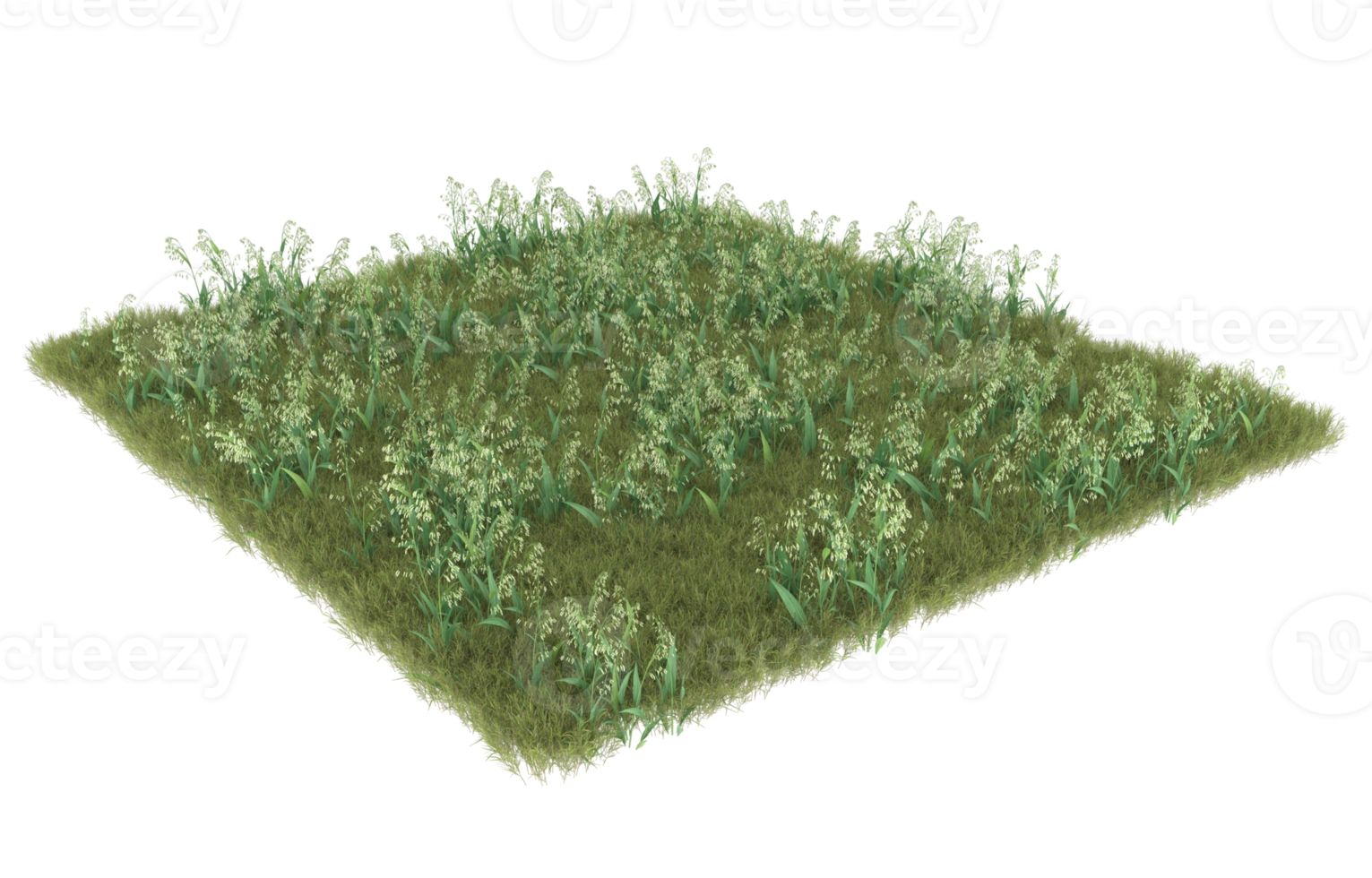 Realistic foliage isolated on transparent background. 3d rendering - illustration png
