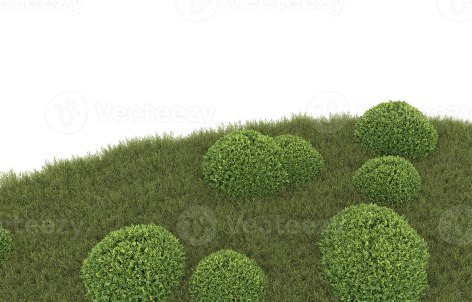 Realistic foliage isolated on transparent background. 3d rendering - illustration png