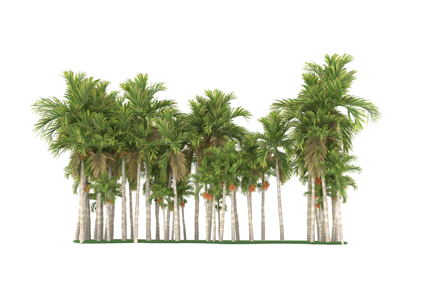 Palmen isoliert auf transparentem Hintergrund. 3D-Rendering - Abbildung png