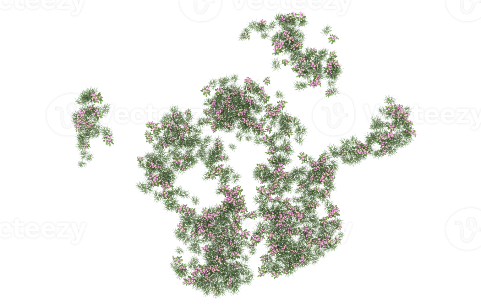 Realistic foliage isolated on transparent background. 3d rendering - illustration png
