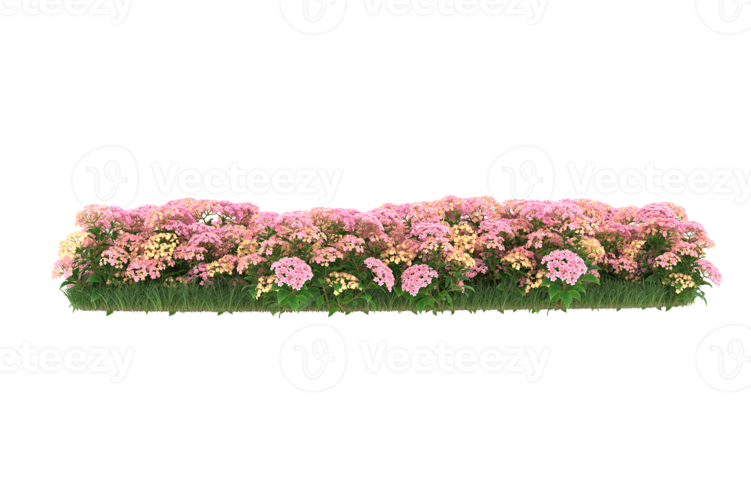 Realistic foliage isolated on transparent background. 3d rendering - illustration png