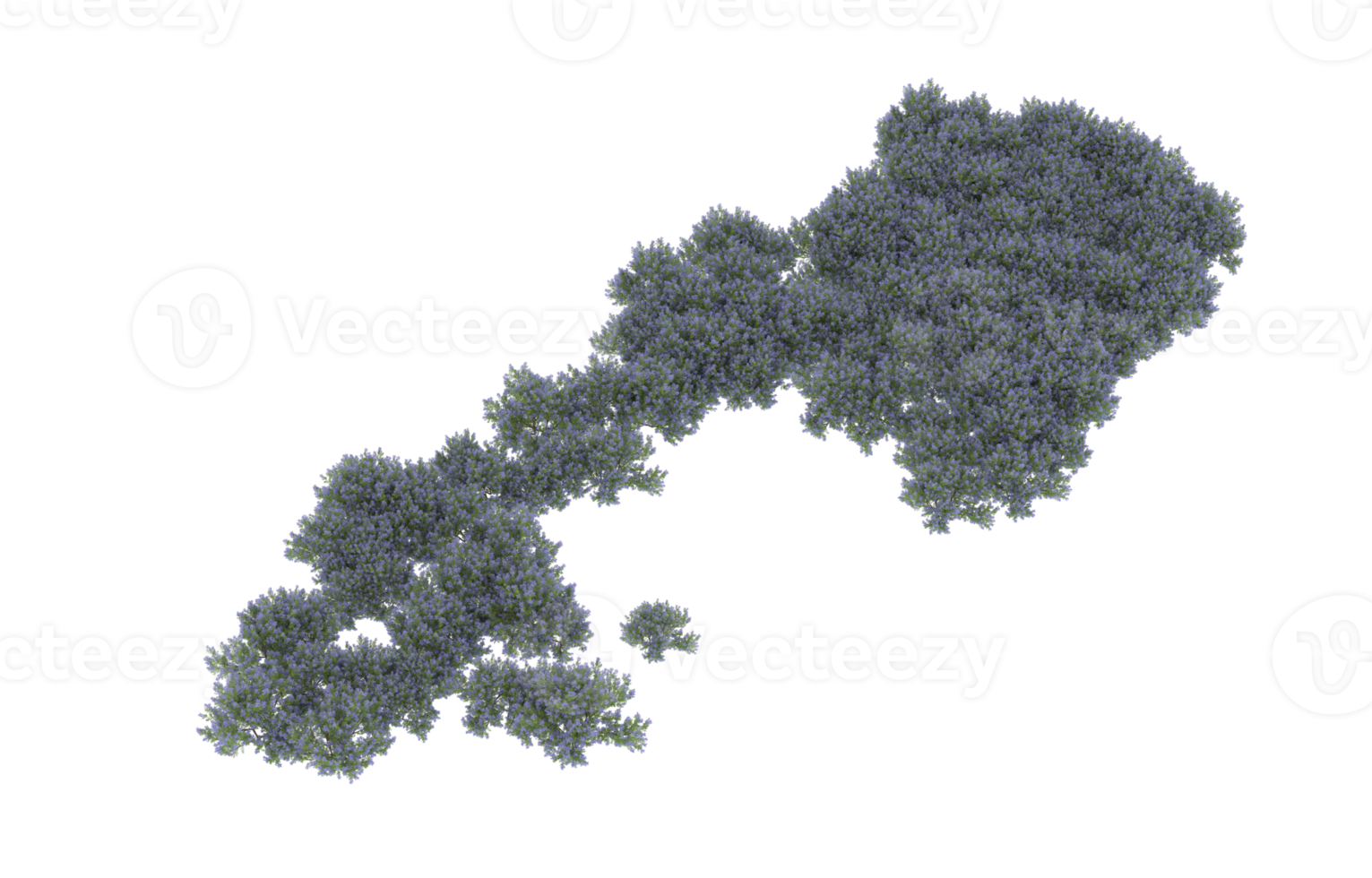 realistisk lövverk isolerat på transparent bakgrund. 3d tolkning - illustration png