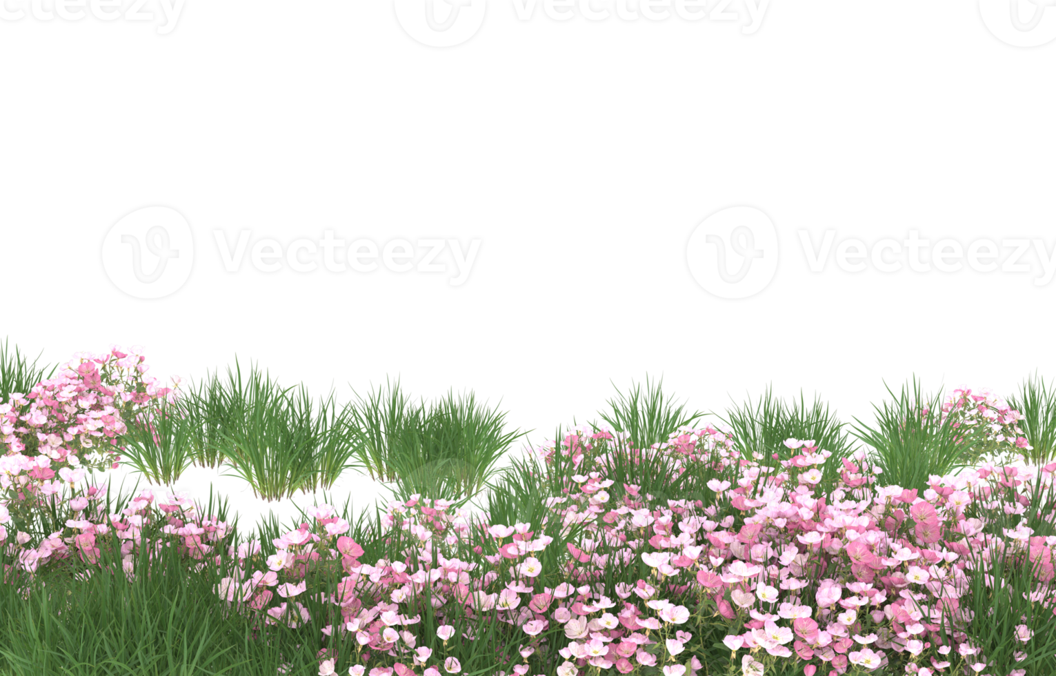 Realistic foliage isolated on transparent background. 3d rendering - illustration png