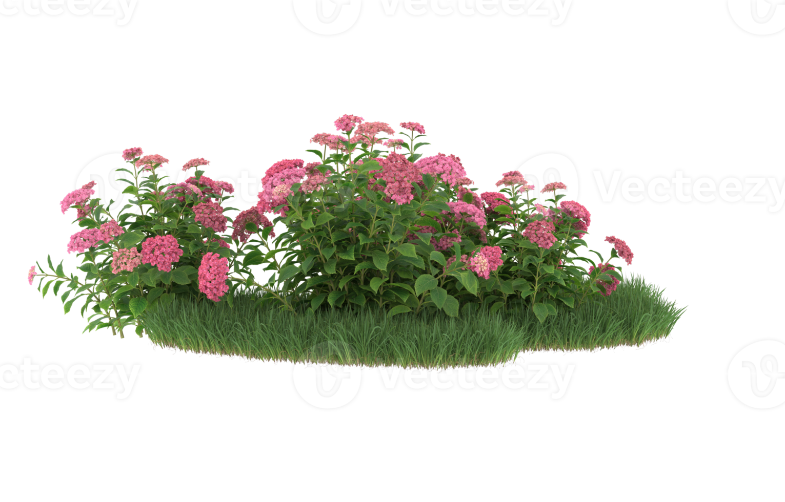 Realistic foliage isolated on transparent background. 3d rendering - illustration png