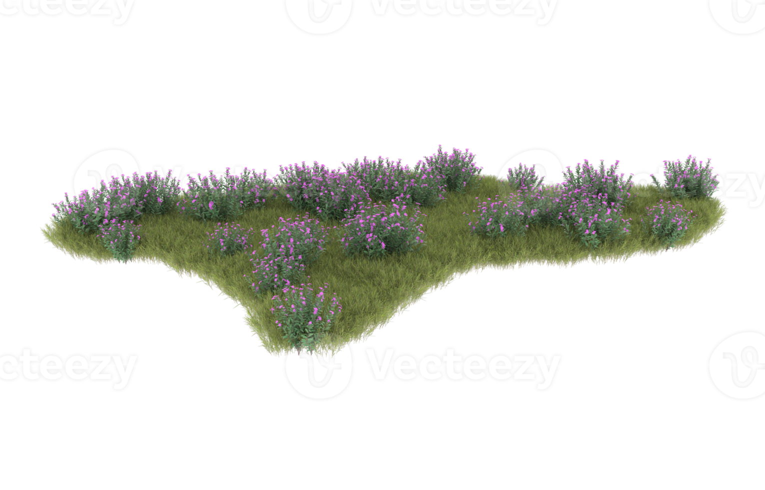 realistisk lövverk isolerat på transparent bakgrund. 3d tolkning - illustration png