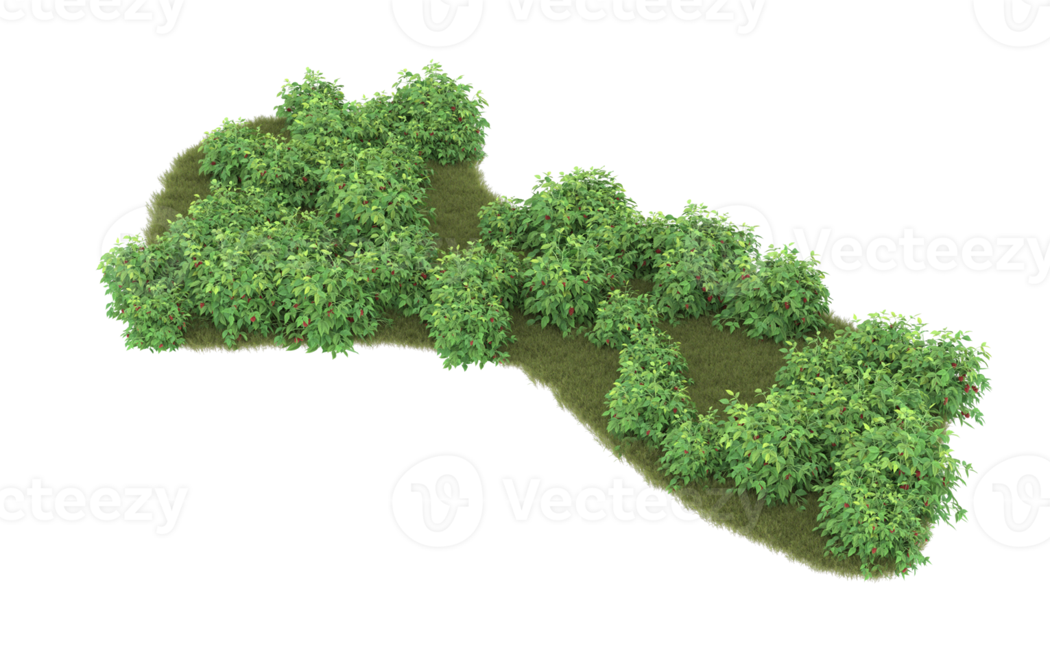 Realistic foliage isolated on transparent background. 3d rendering - illustration png