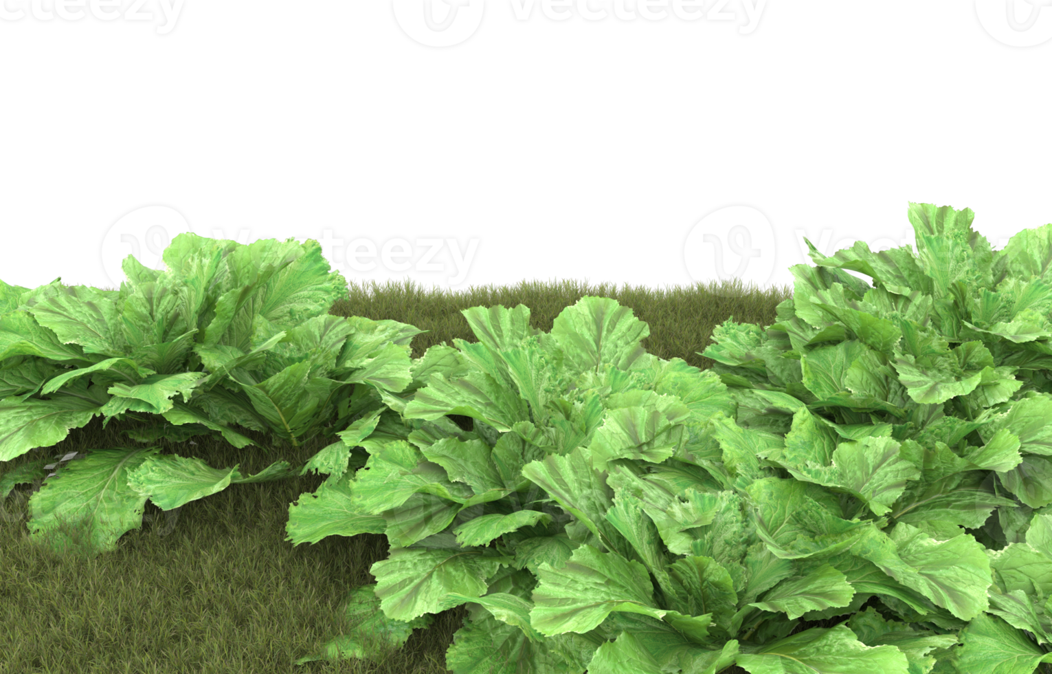 Realistic foliage isolated on transparent background. 3d rendering - illustration png