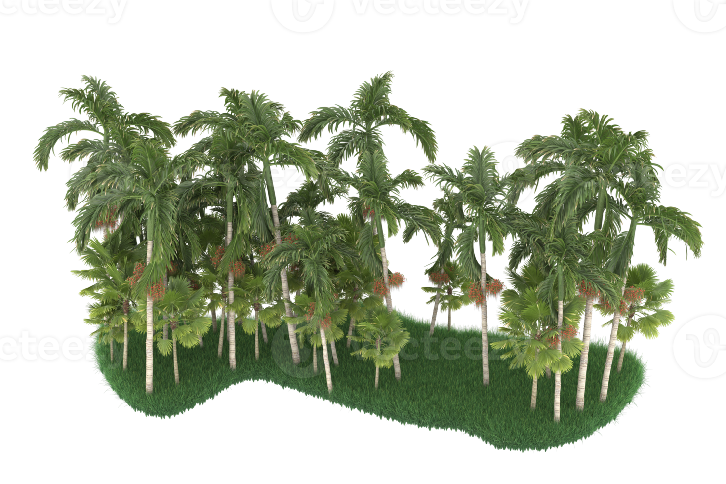 palma alberi isolato su trasparente sfondo. 3d interpretazione - illustrazione png