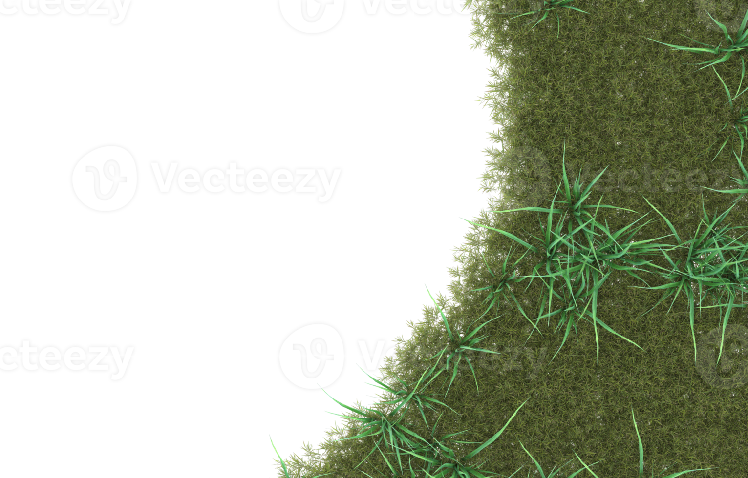 Realistic foliage isolated on transparent background. 3d rendering - illustration png