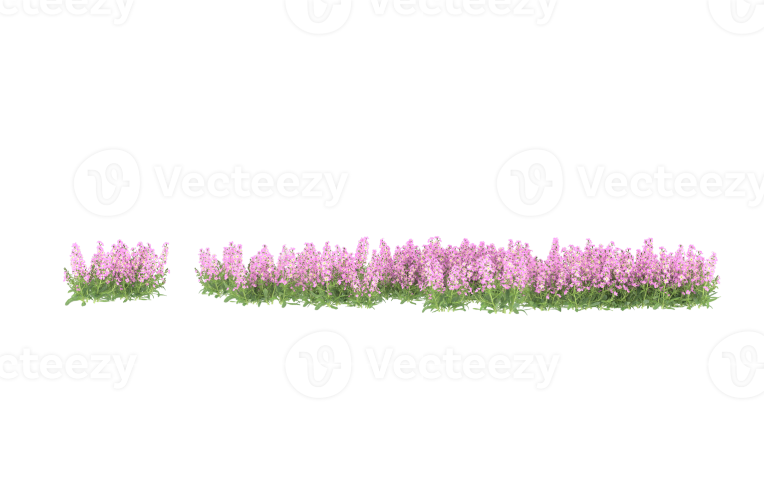 Realistic foliage isolated on transparent background. 3d rendering - illustration png